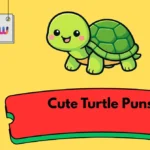 Cute Turtle Puns
