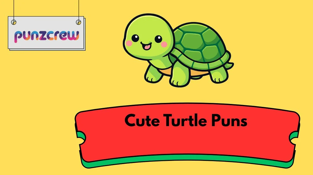 Cute Turtle Puns