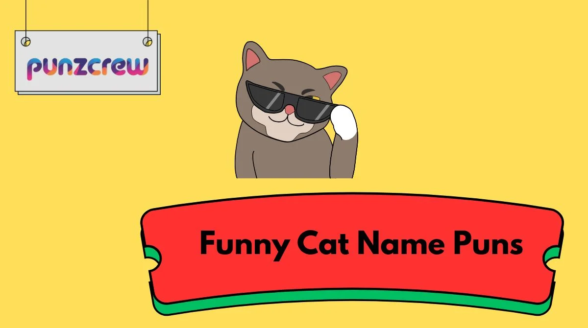 Funny Cat Name Puns