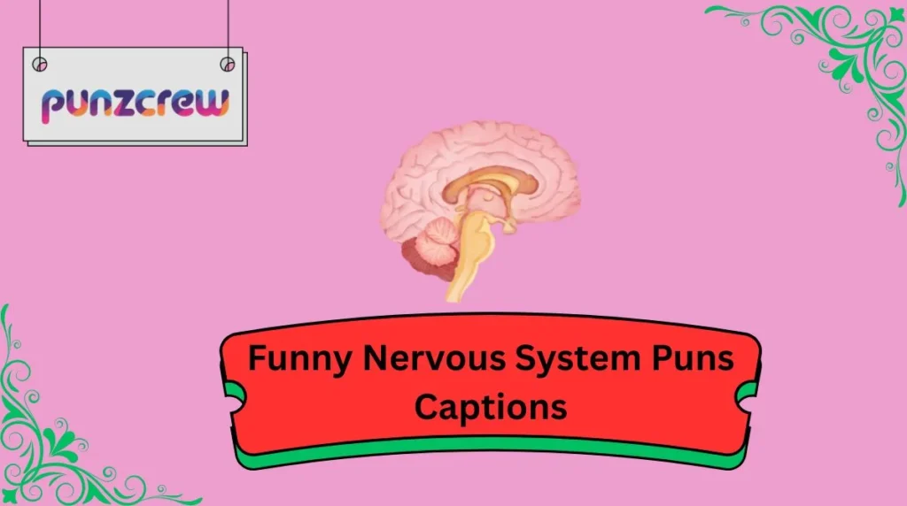 Funny Nervous System Puns Captions