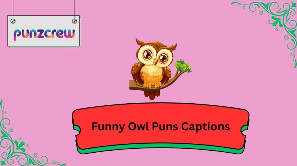 Funny Owl Puns Captions