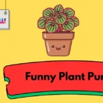 Funny Plant Puns