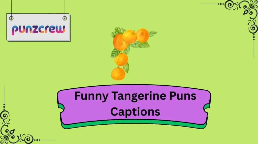 Funny Tangerine Puns Captions