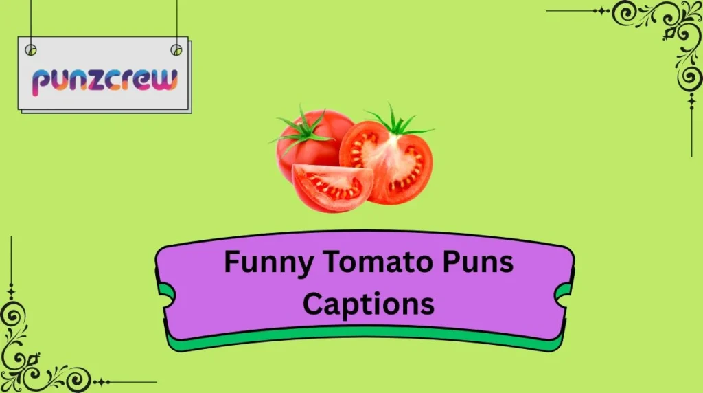 Funny Tomato Puns Captions