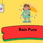 Rain Puns