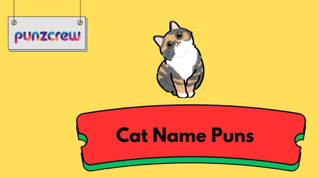 Cat Name Puns