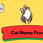 Cat Name Puns