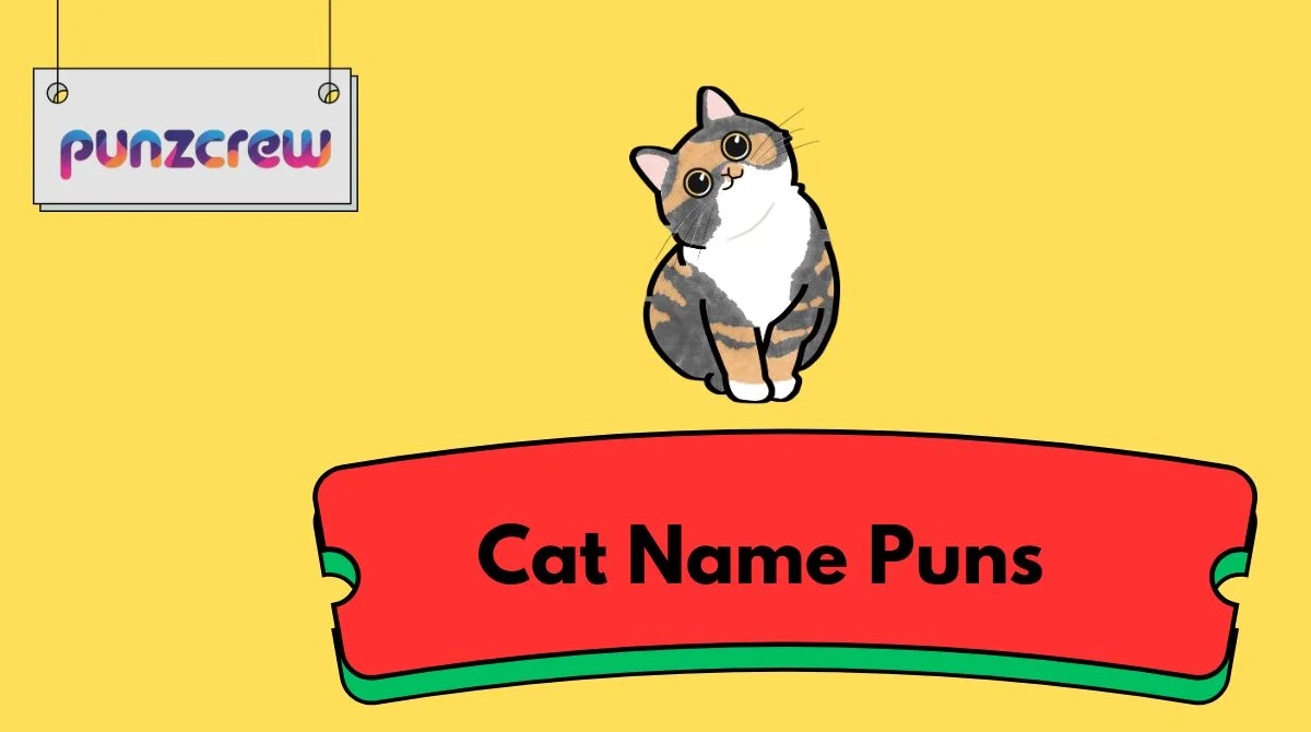 Cat Name Puns