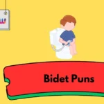 Bidet Puns
