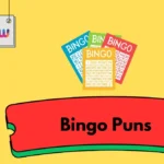 Bingo Puns