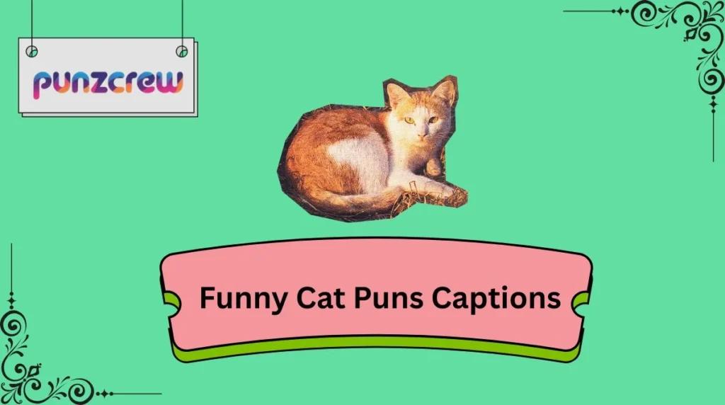 Funny Cat Puns Captions