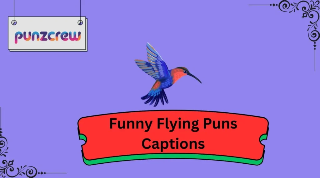 Funny Flying Puns Captions