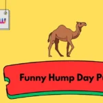 Funny Hump Day Puns