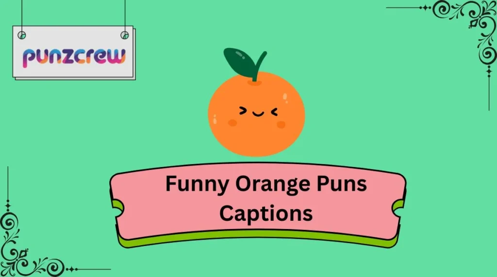 Funny Orange Puns Captions