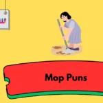 Mop Puns