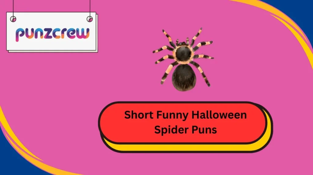 Short Funny Halloween Spider Puns