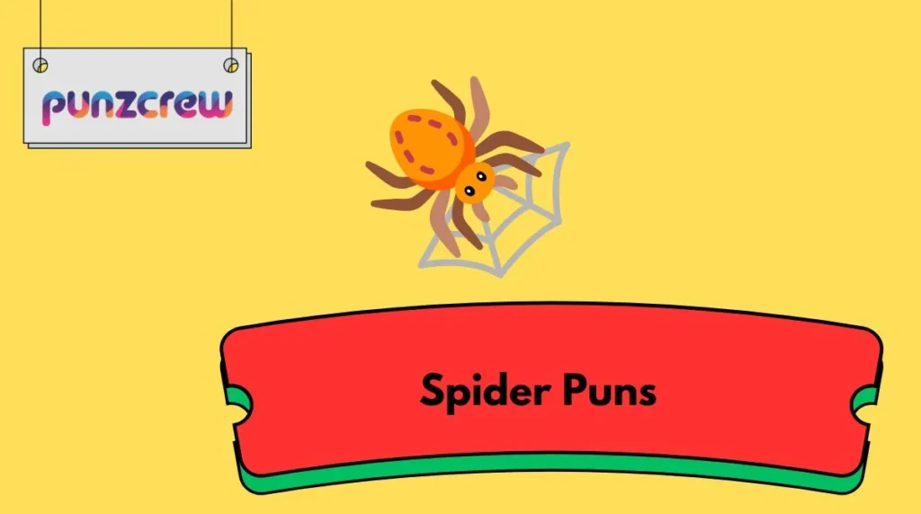 Spider Puns
