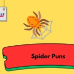 Spider Puns