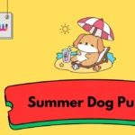 Summer Dog Puns