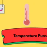 Temperature Puns