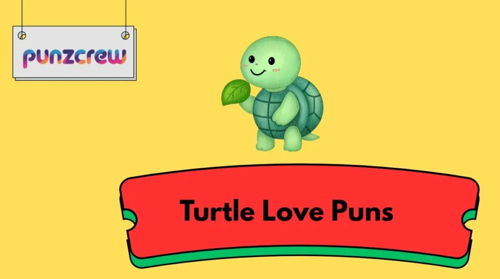 Turtle Love Puns