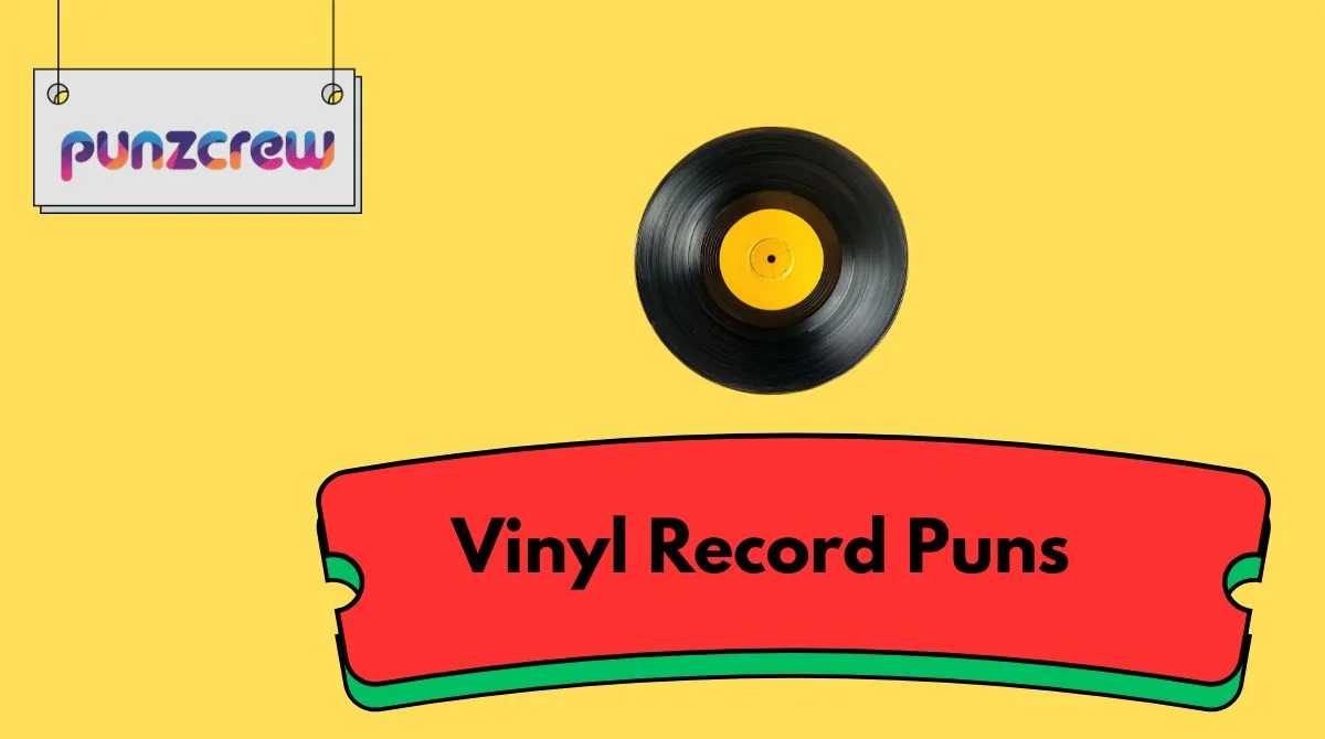 Vinyl Record Puns