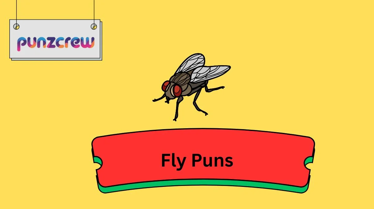 Fly Puns