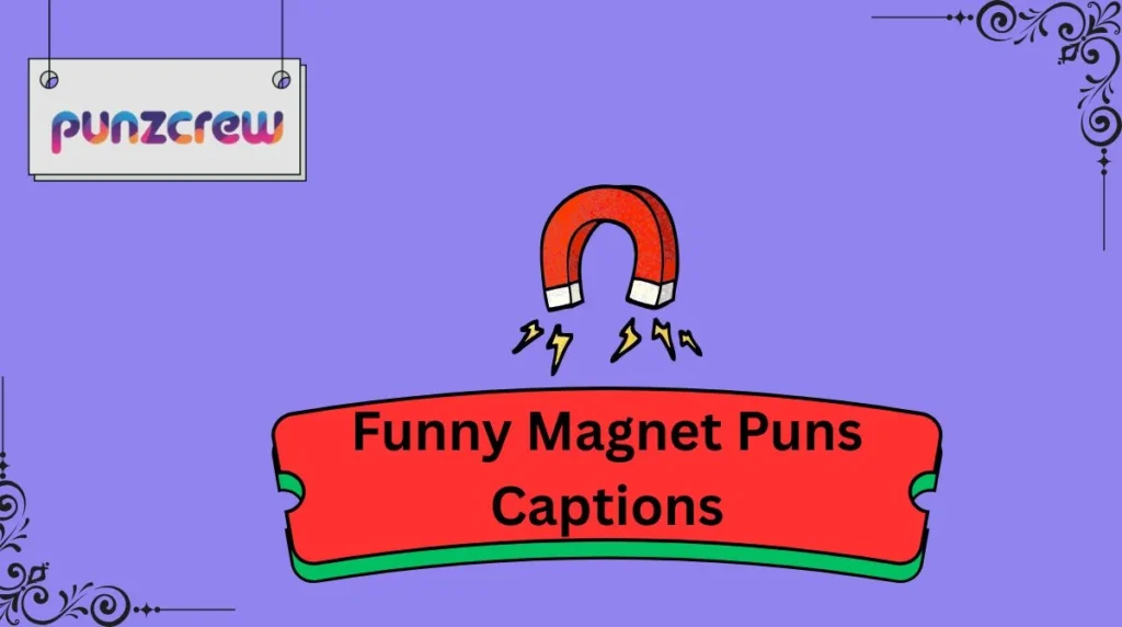 Funny Magnet Puns Captions
