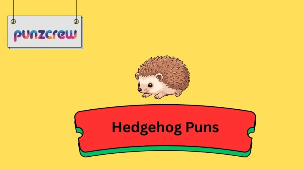 Hedgehog Puns