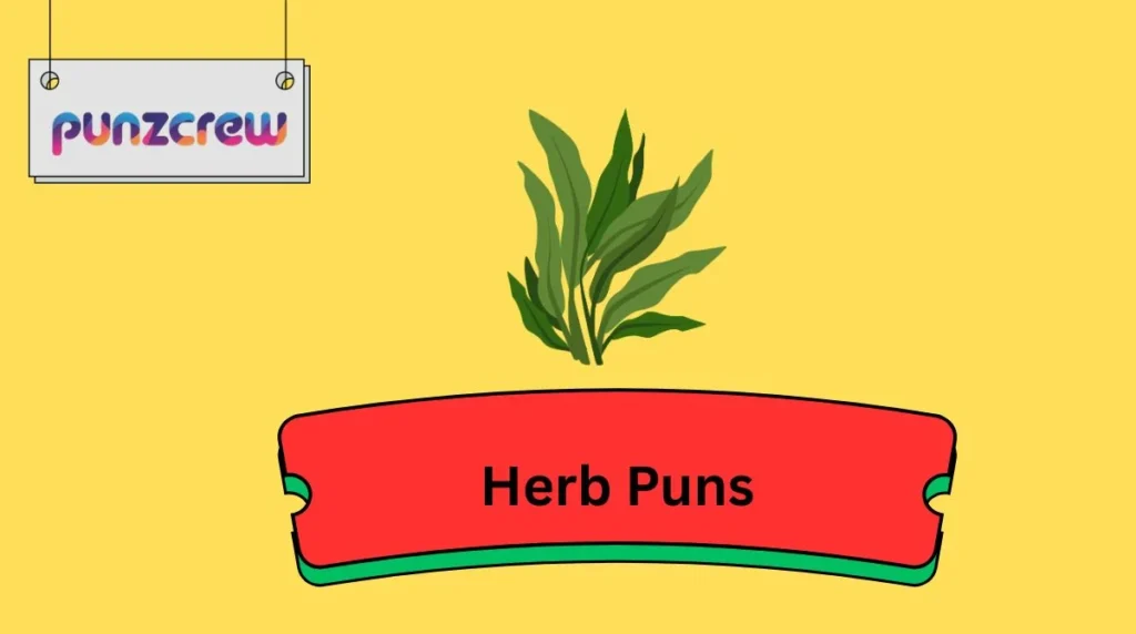 Herb Puns