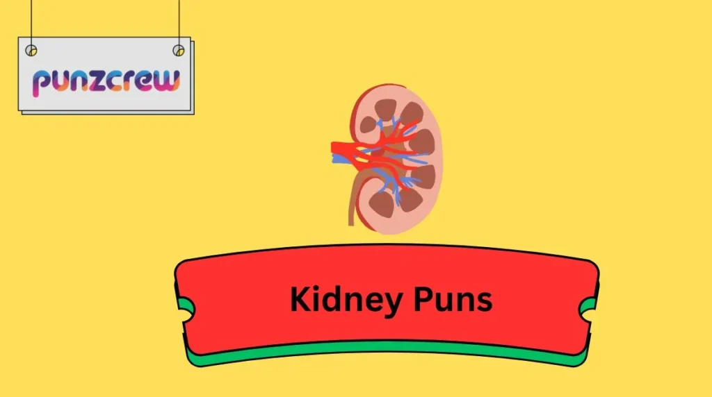 Kidney Puns