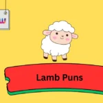 Lamb Puns