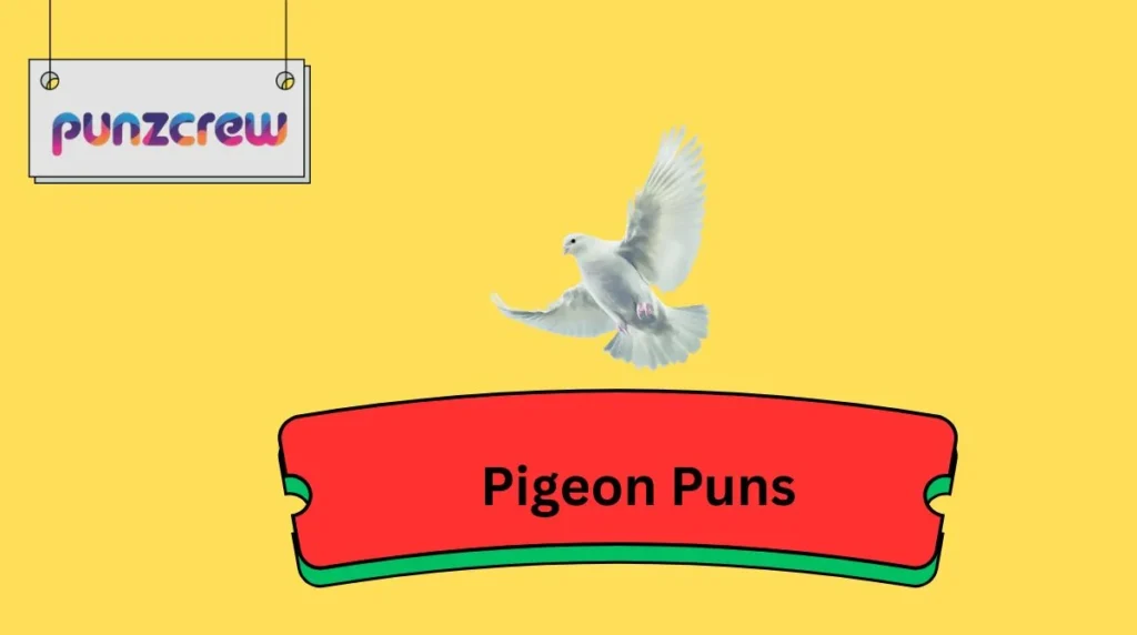 Pigeon Puns