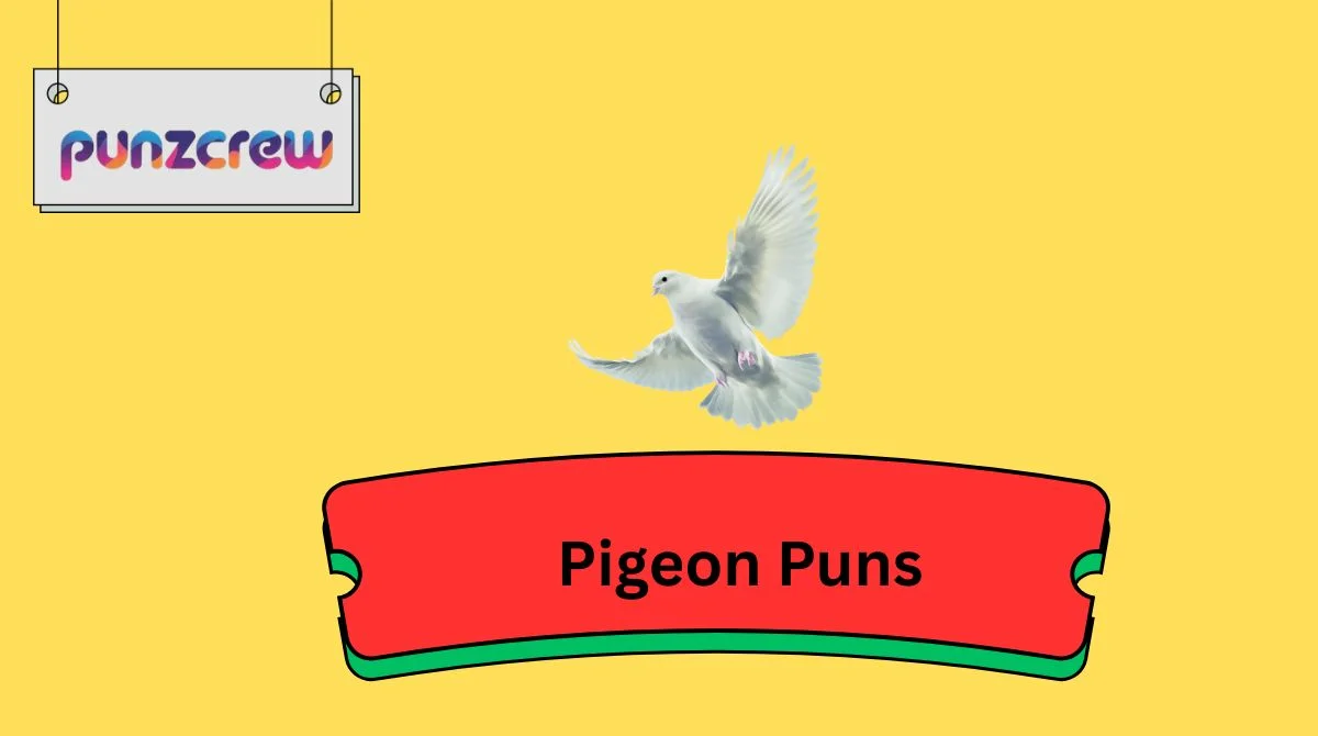 Pigeon Puns